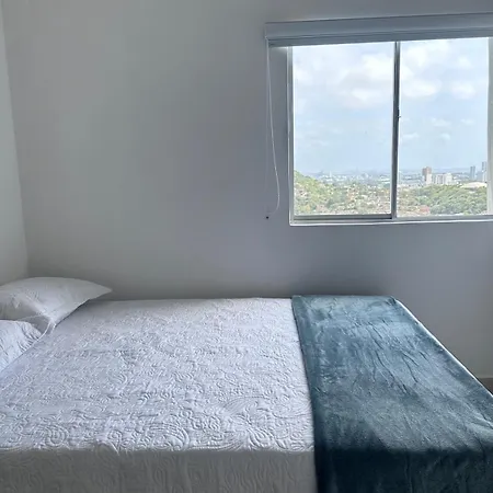 Espectacular Vista A La Ciudad