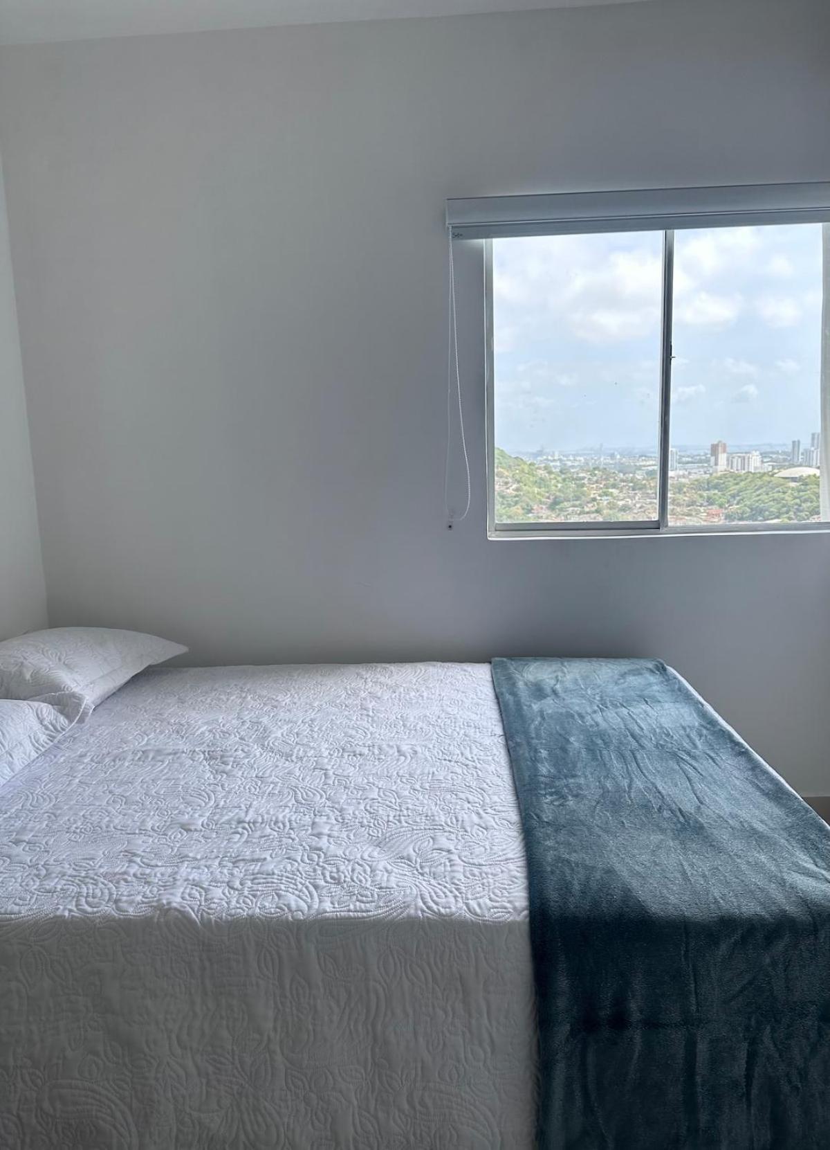 Espectacular Vista A La Ciudad